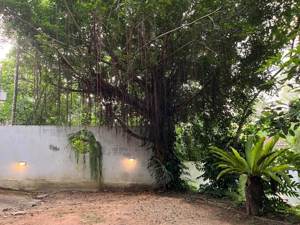 Villa Dinoos- Weligama Exterior photo